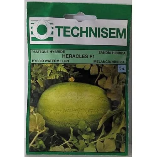 Hybrid Watermelon Seed - Heracles F1 - 5g