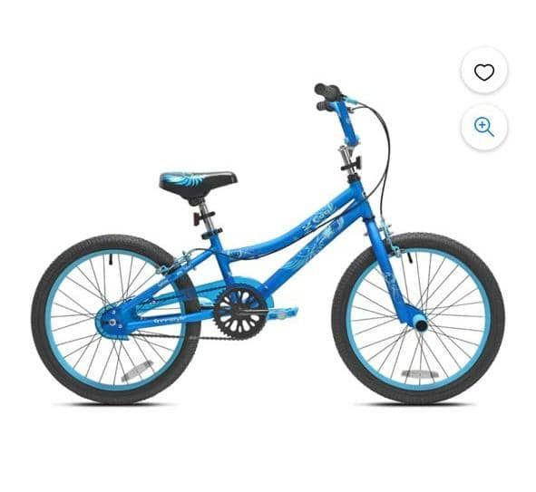 Size 20 American Kids Bicycle