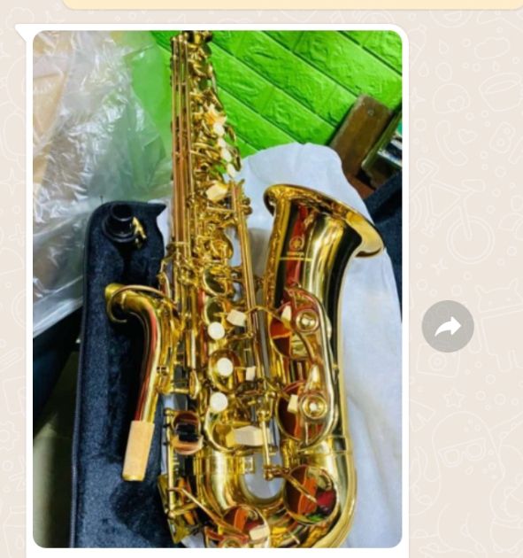 Gold Professional Alto Saxophone