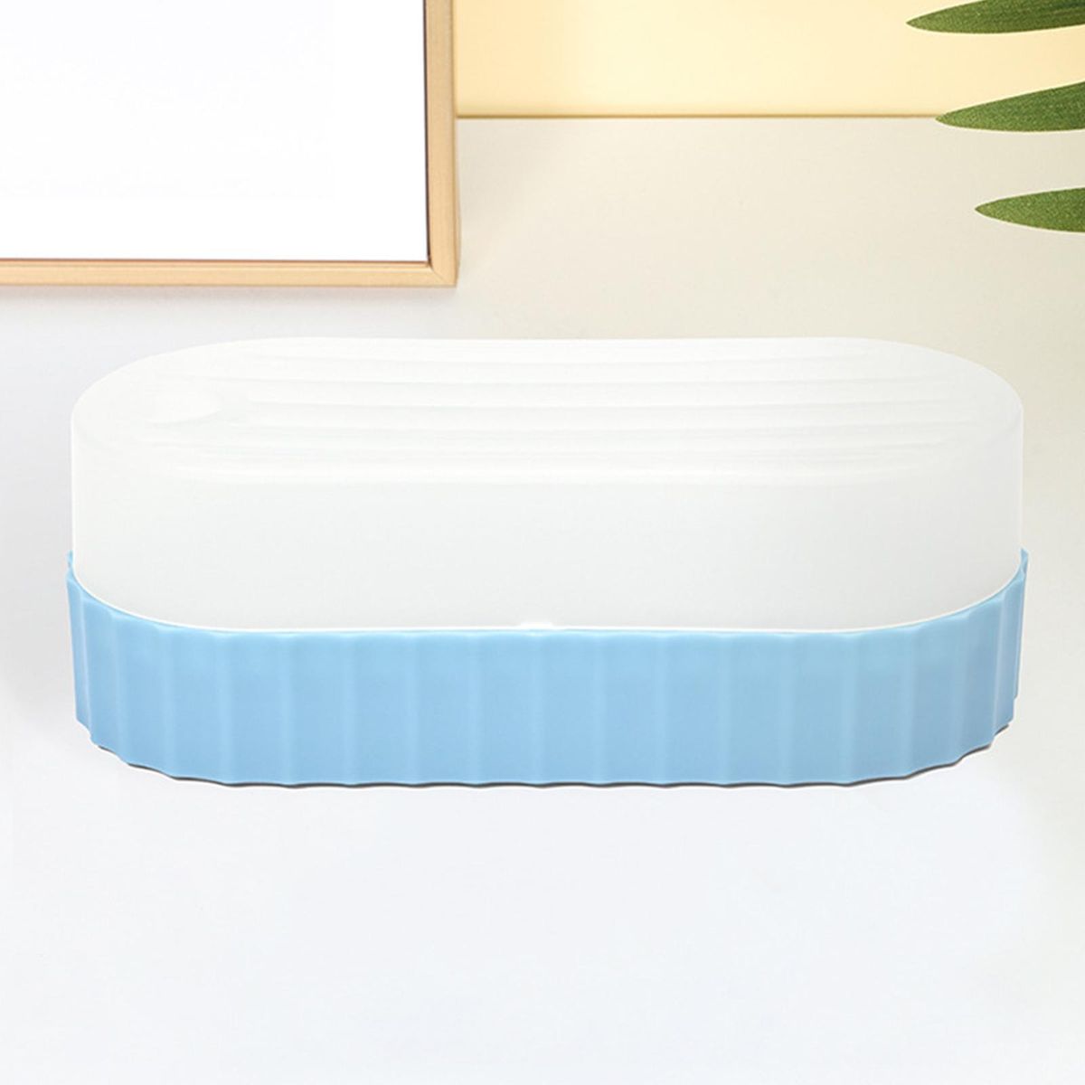 Seed  Trays Sprouting Container  Cats  Blue
