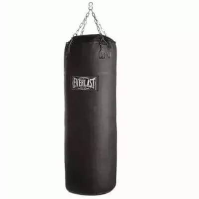 Everlast Punching Bag