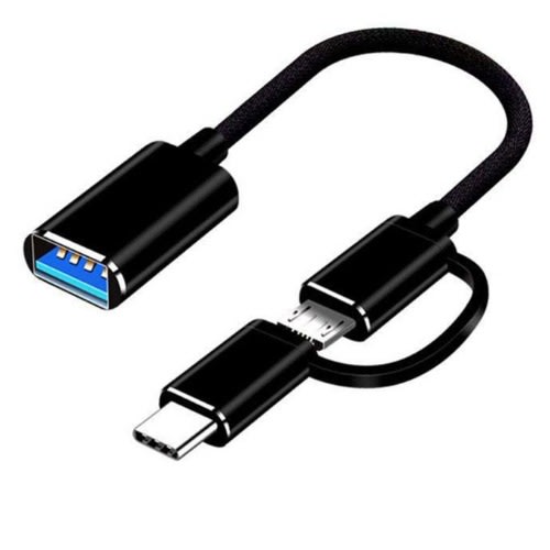 2 In 1 OTG Cable