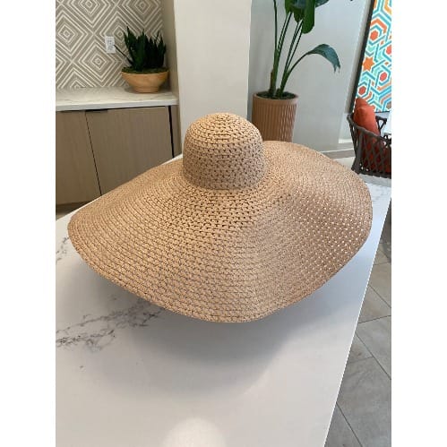 Brim Straw Hat - Brown