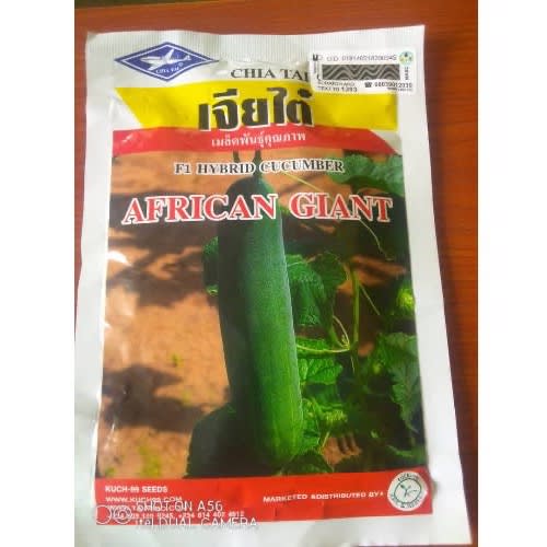 African Giant F1 Hybrid Cucumber Seed - 50g (cu999)