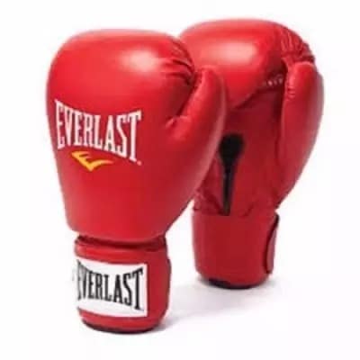 Leather Boxing Gloves - Red