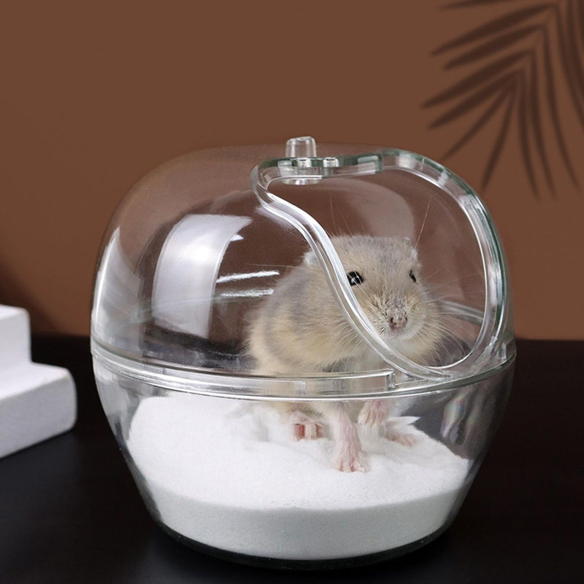 Hamster Bathroom Animal Bathroom House Cage S