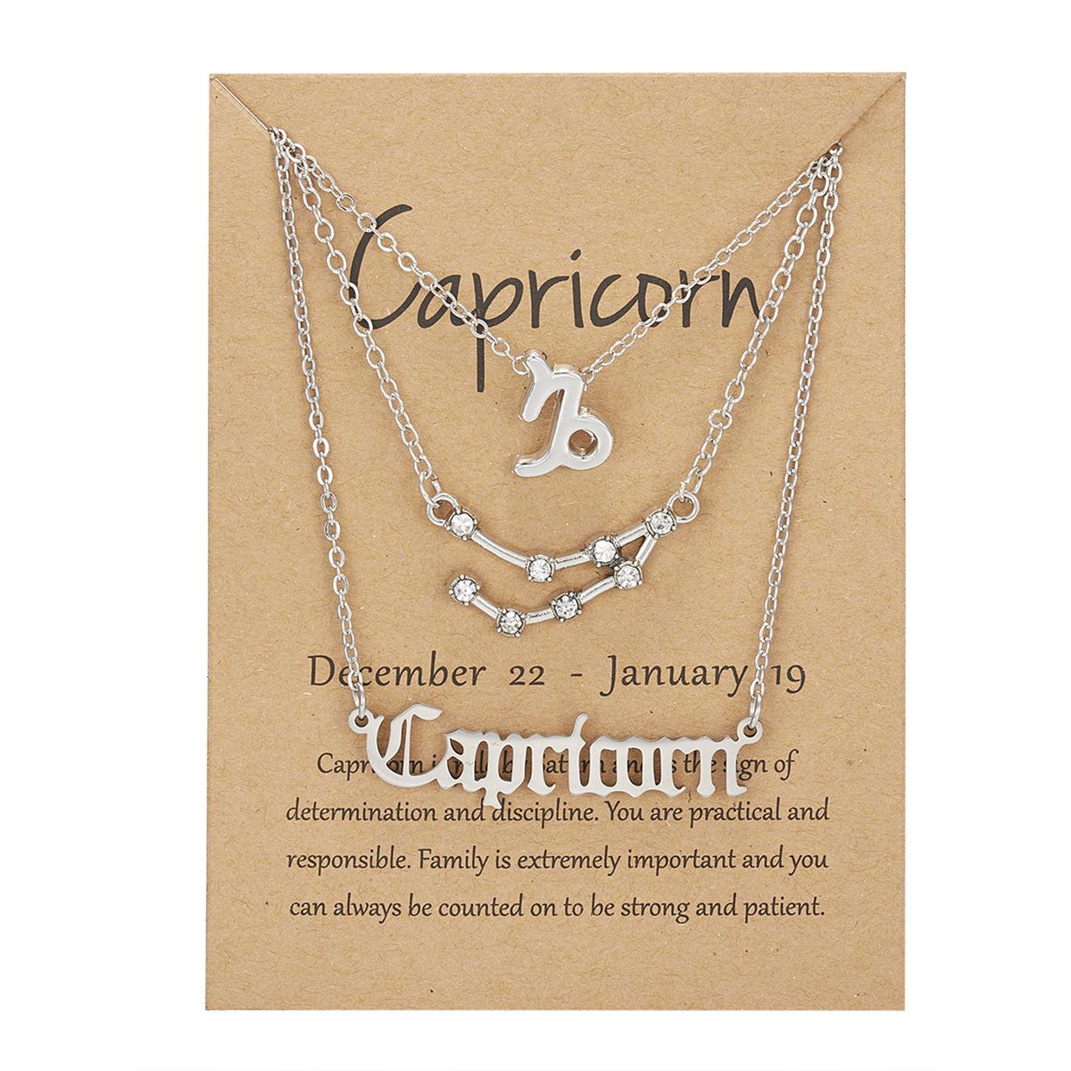 Twelve Constellations Symbol Starry Sky Pendant Necklace Silver Capricorn