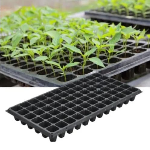 Seedling Tray - 50 Pieces - 128 Holes/ Cells
