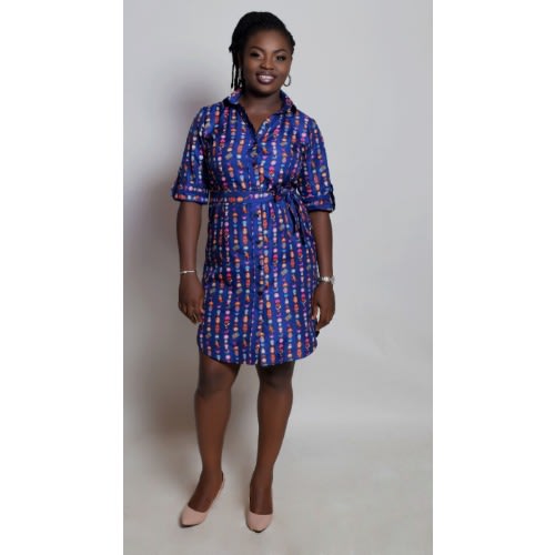 Button Down Dress