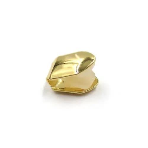 Gold Plated Teeth