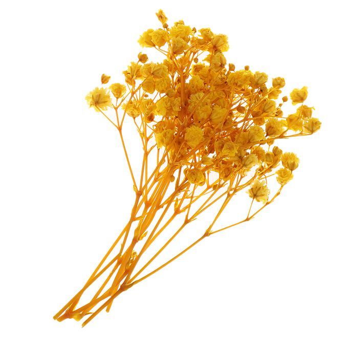 Real Dried Pressed Flower Leaves Bouquet Decorative - Yellow