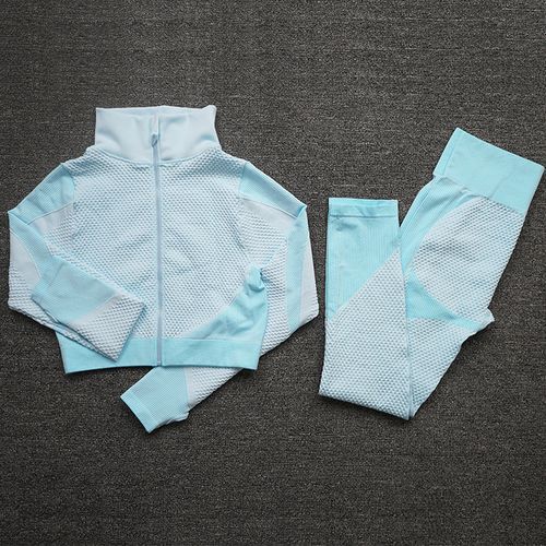 2/3PCS Seamless Women Yoga Set Workout Sportswear Gym Clothing Fitness Long Sleeve Crop High Waist Leggings Sports Suits(#ShirtsPants Skyblue)
