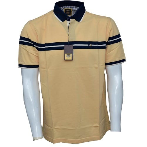 Men's  Short  Sleeve  Striped Shirt