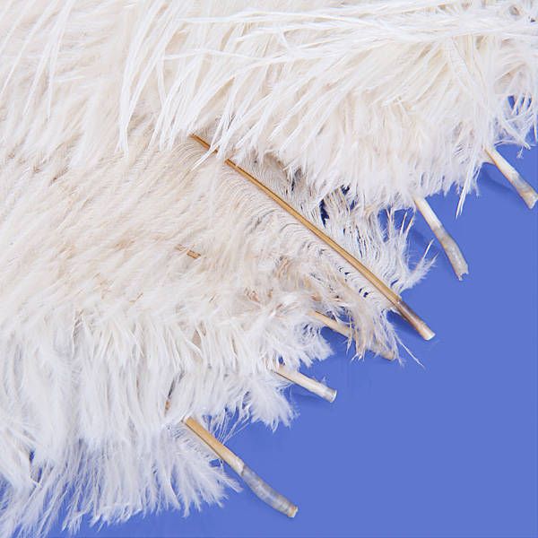 10 Pieces Feathers 6.7 9 Inches Decorative Crafts