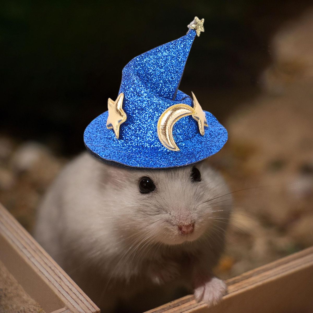 Pet Hats Funny  Headwear Plush Headgear With Blue