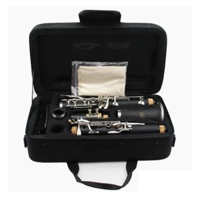 Professional Clarinet