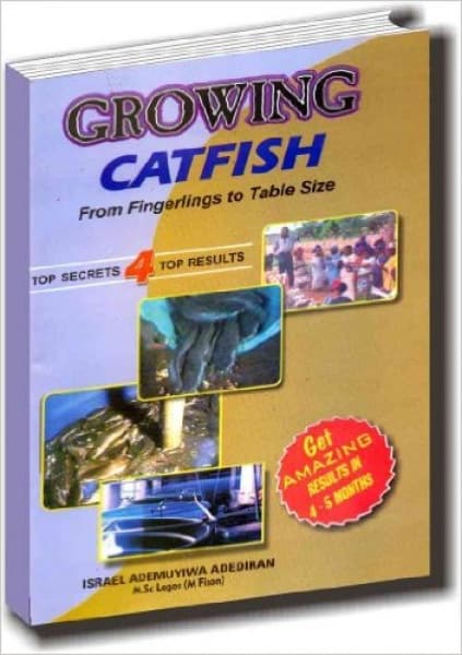 Growing Catfish