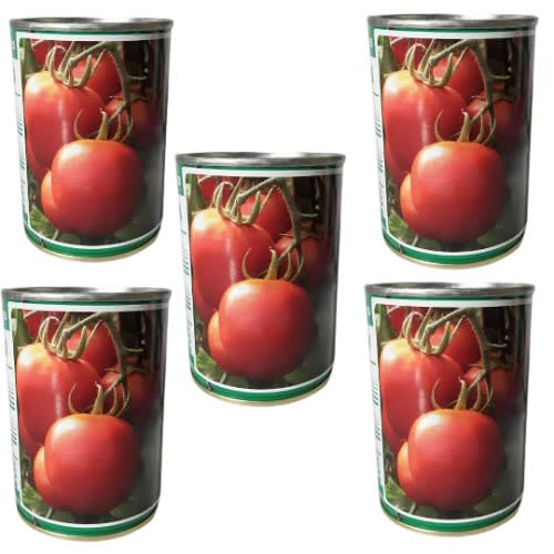 Technisem Hybrid Tomato Seeds - Cobra 26 F1 - 50g X 5 Tins