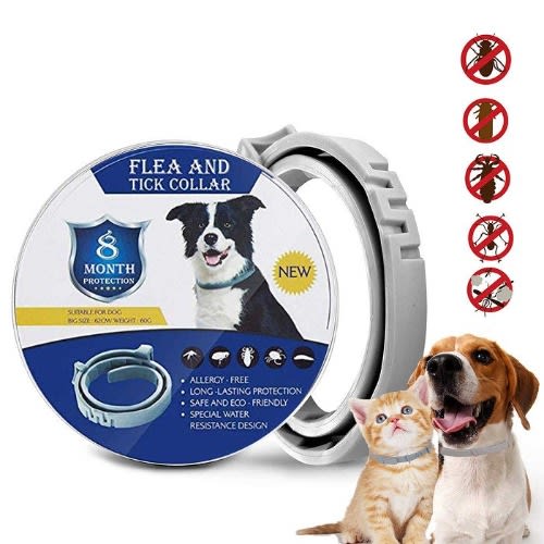 Flea And Tick Dog And Cat Collar - 38cm