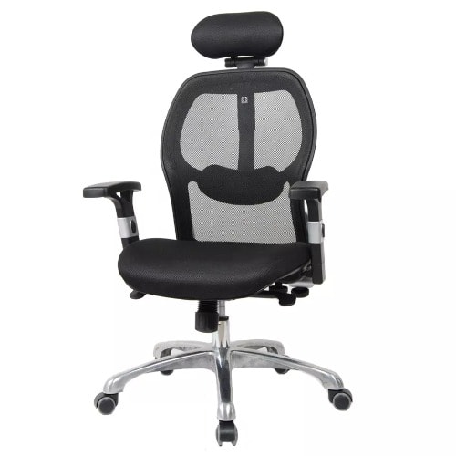 Ergonomic Chair