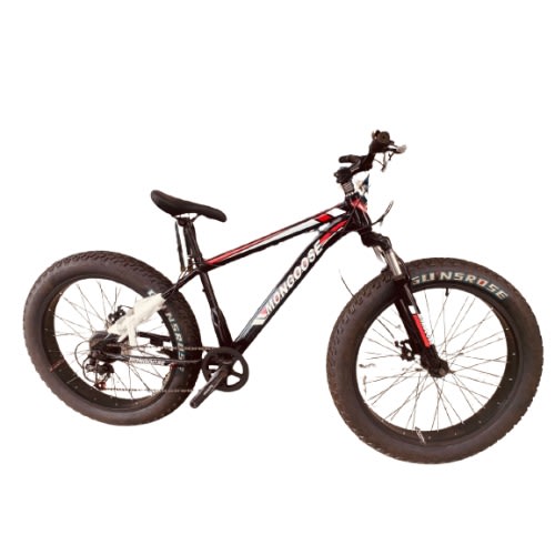 Professional Fat Tires Cruiser Sports Bicycle