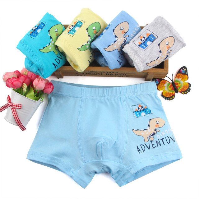 4 Pcs/lot Kids Boy Underwear