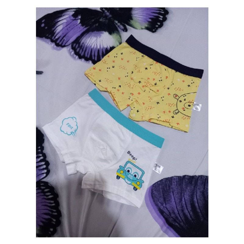 2 Pieces Cotton Character Boys Boxers