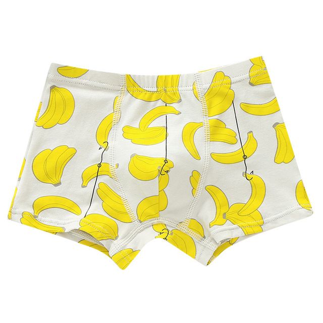 2 Pcs/lot Children Underwear
