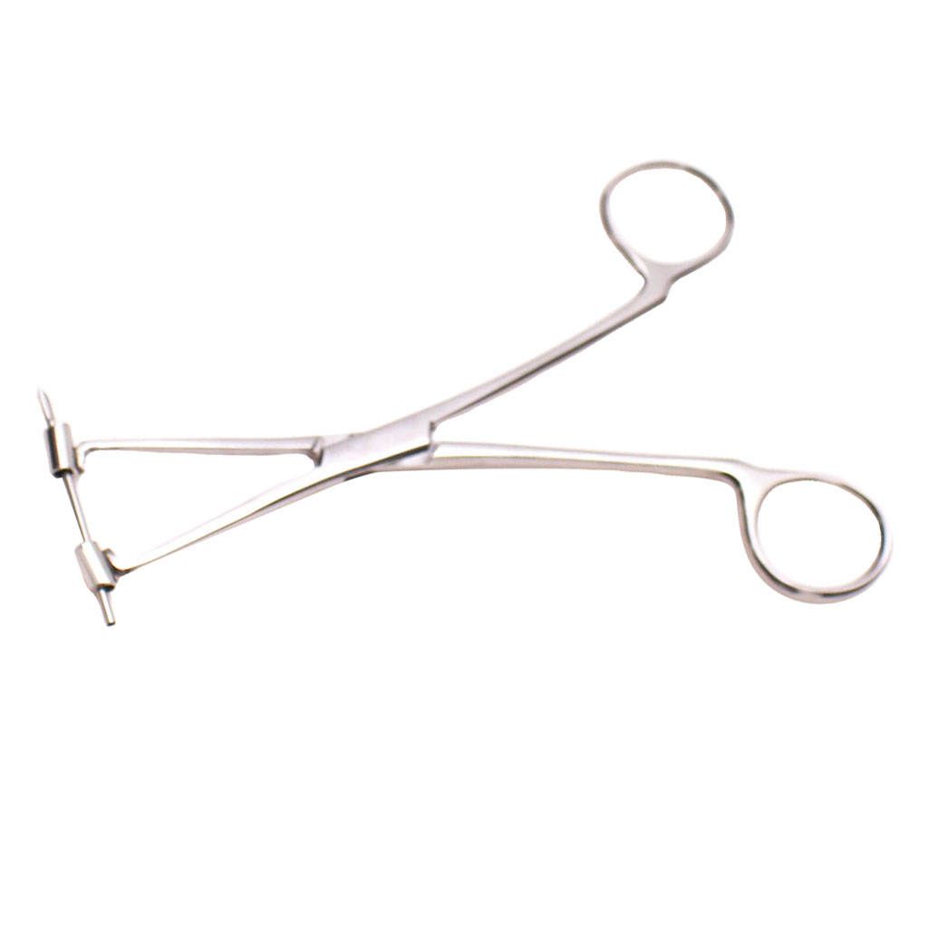 6 Professional Stainless Steel Septum Forceps Body  Clamp