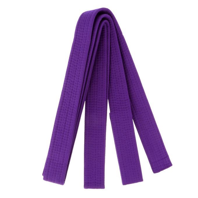 Durable Taekwondo Belt Double Wrap (Colors) Belt Judo Aikido Purple