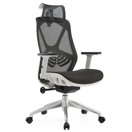 Ergonomic Mesh Office Chair