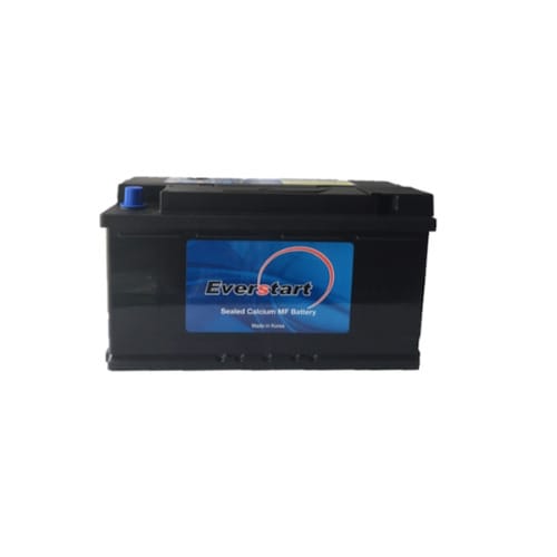 Everstart Sealed Calcium Mf Battery - 100ah