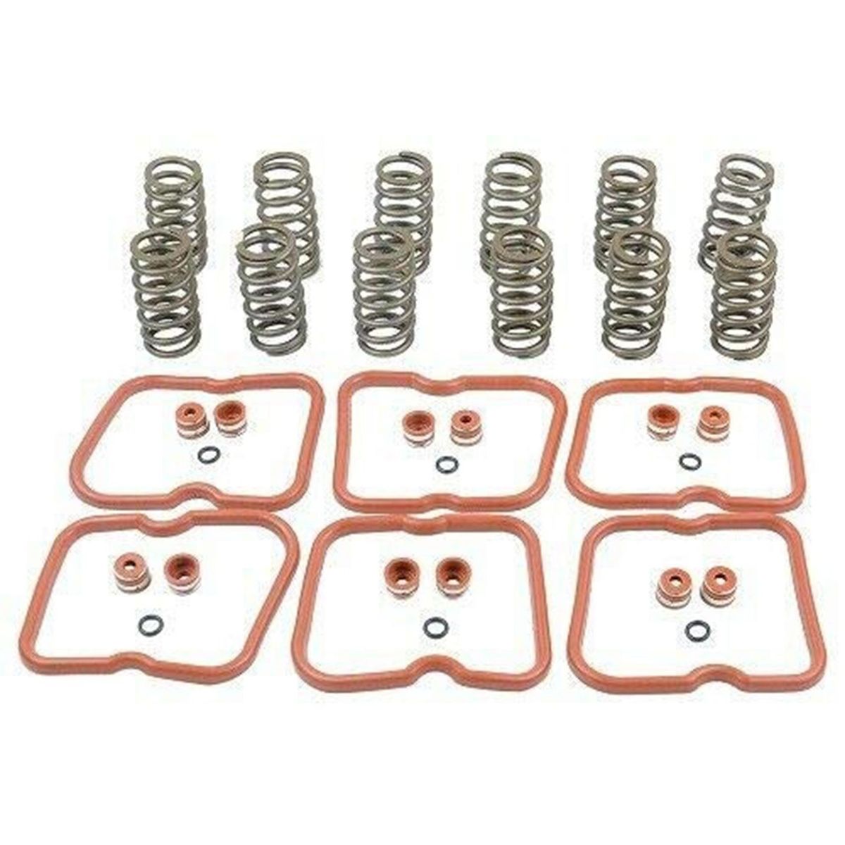 60Lb Valve Springs 3916691 with Gaskets O-Rings Stem Seals