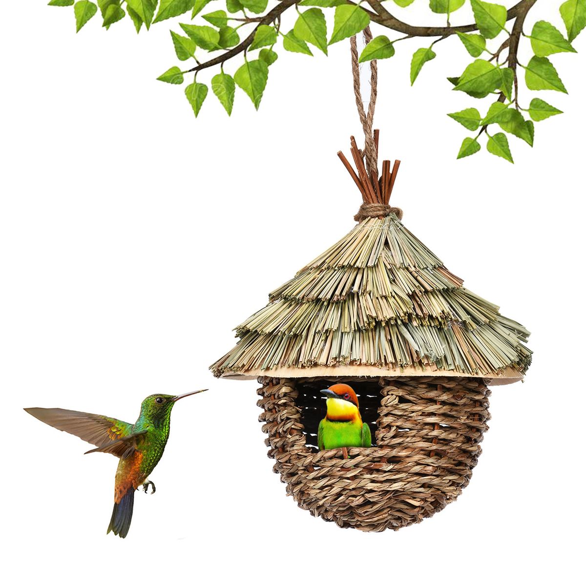 Cross-border New Hummingbird House Charming Decorative