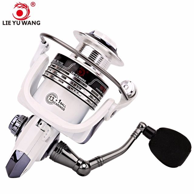Fishing Reel 3000 5kg Drag Max Saltwater Bearking