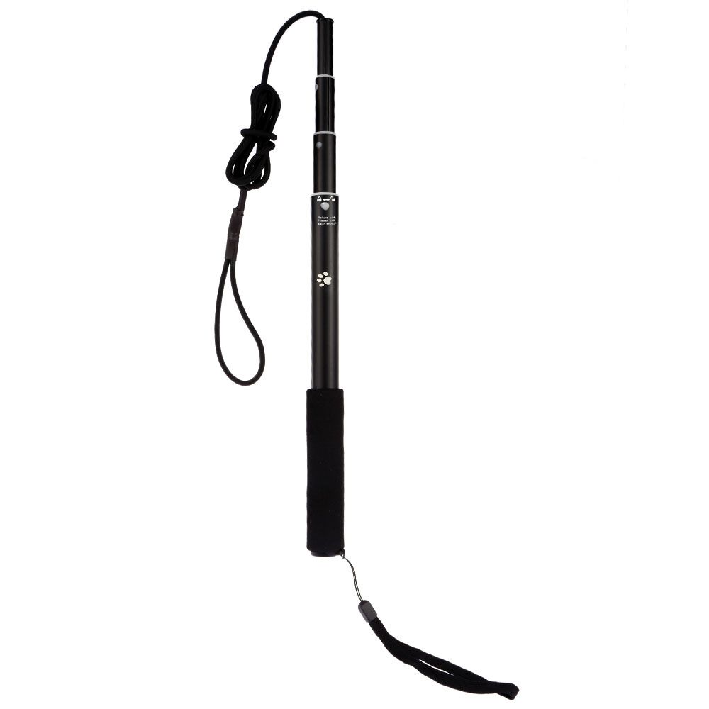 Extendable Dog Puppy Teaser Pole Wand Outdoor Interactive