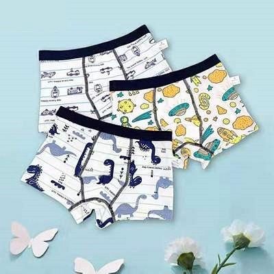 3pcs Children's Boxer Panties