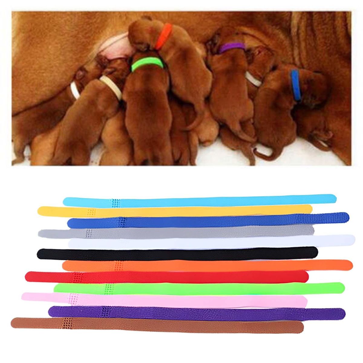 12Pcs 20cm Puppy Collars Comfortable Personalised Newborn