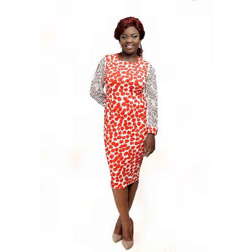 Net Sleeve Bodycon Dress