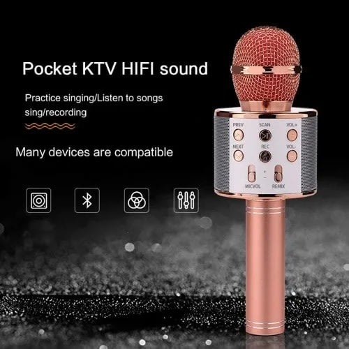 Professional Bluetooth Wireless Microphone Speaker - Rg
