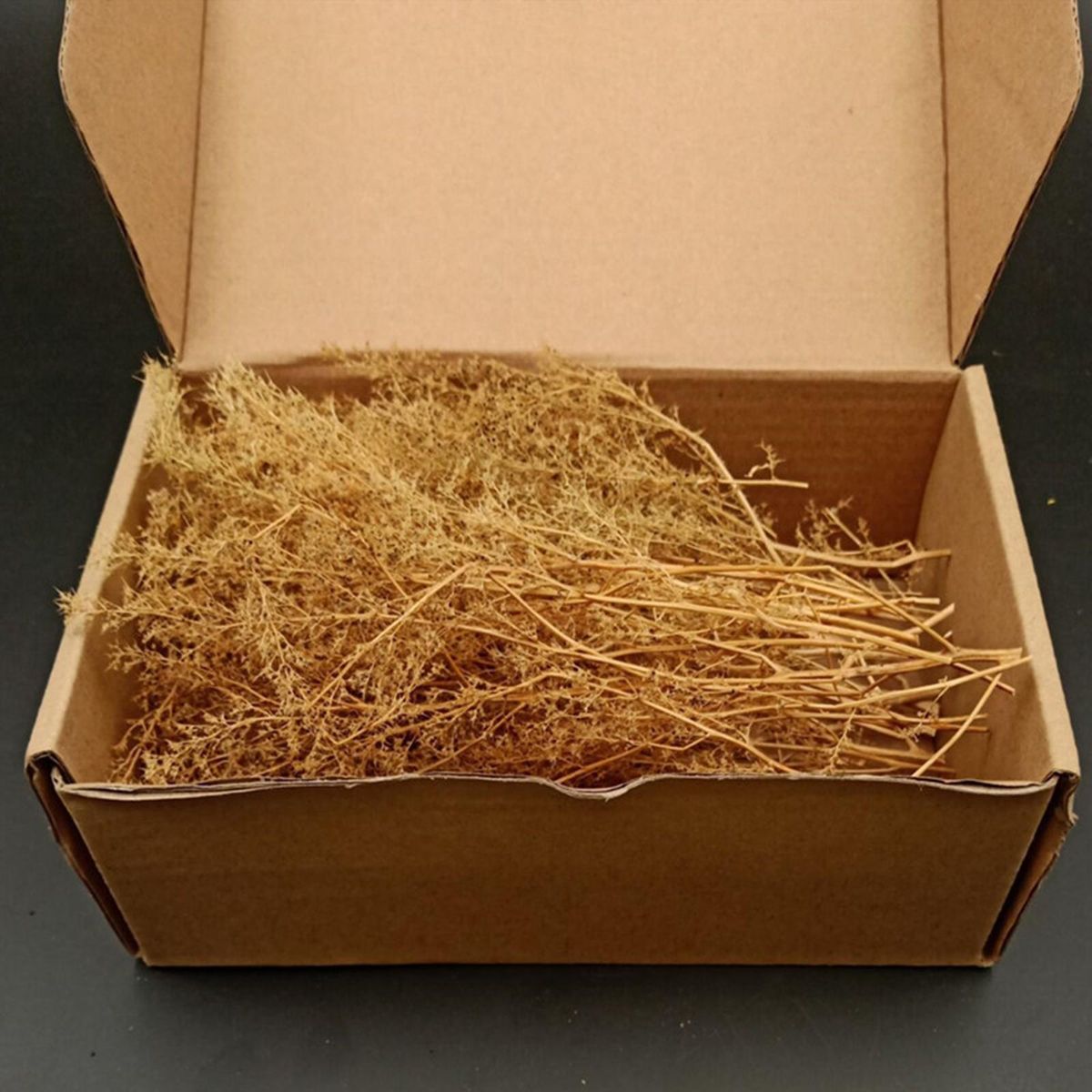Model Trees Micro Landscape Decor 1/48 Architecture Yellow
