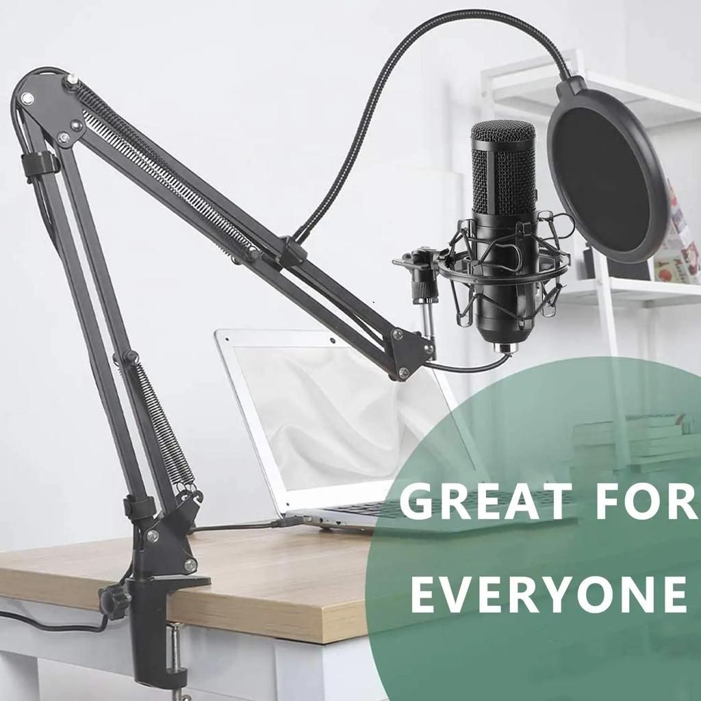 BM800 USB Professional Condenser Microphone Studio Recording