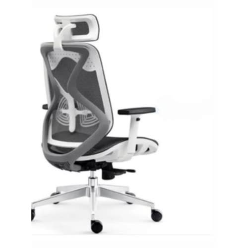 Ergonomic Office Chair