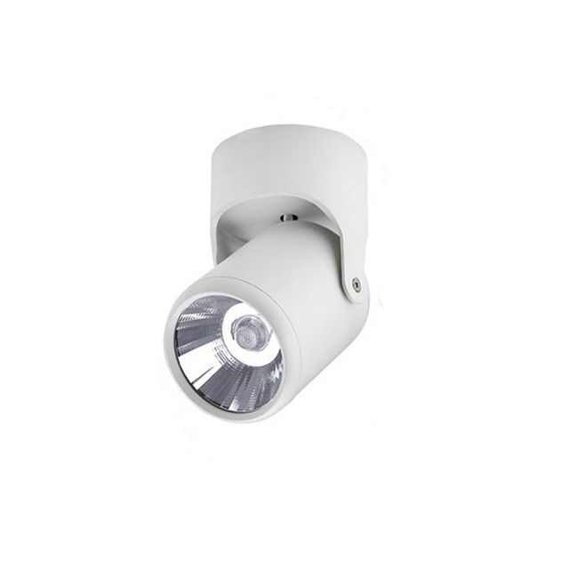 Dimmable Rotating LED Downlights