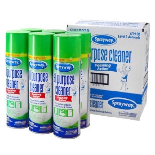 Foaming All In One Cleaner & Disinfectant 19oz 539g X 6