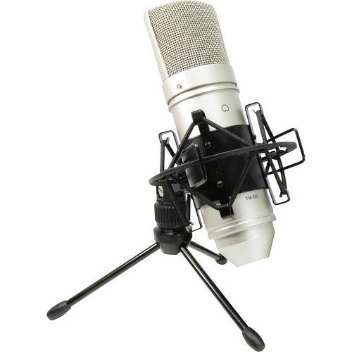 Condenser Recording Microphone Tm-80