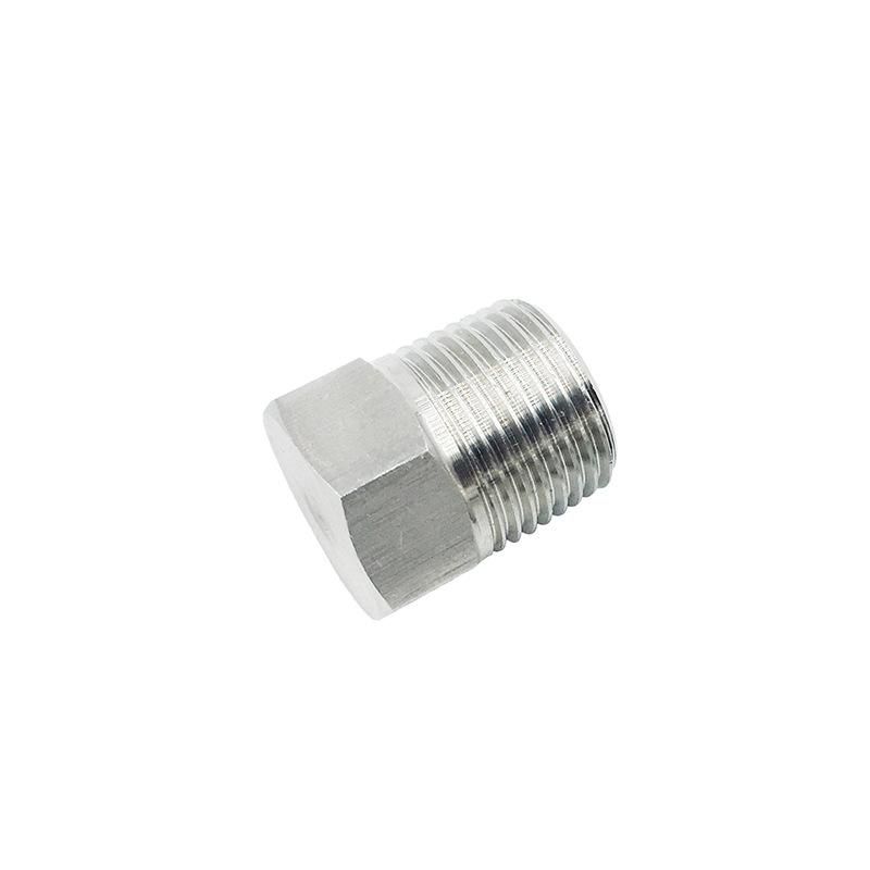 Stainless Steel Outer Hexagon Plug Oil Plug Plug Bulkhead PT Npt1/8 1/4 3/8 1/2 Spot Supply
