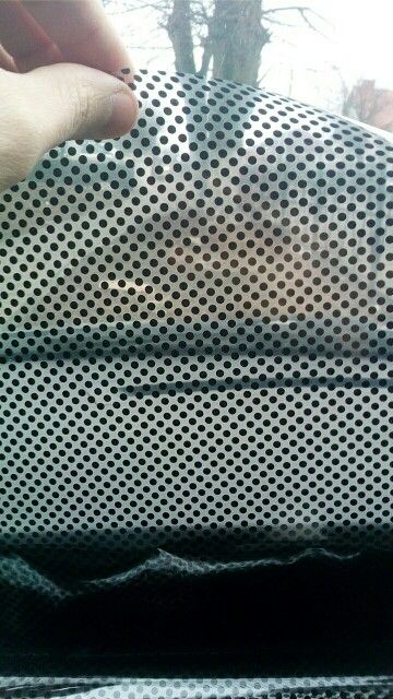 One-Way Perforated Vinyl Privacy Window Film Adhesive Glass