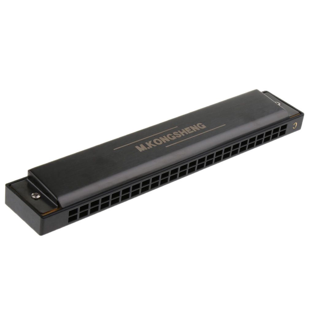 Professional 24 Holes Tremolo Harmonica Mouth Organ For Matte Black