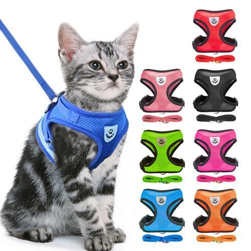 Cat Dog Harness Adjustable Vest Walking Lead Leash - Orange